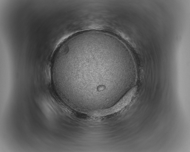 X0000116461214200912161225