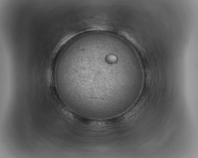 X0000116461215200912161225
