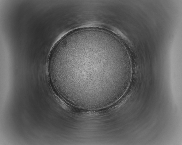 X0000116461216200912161225