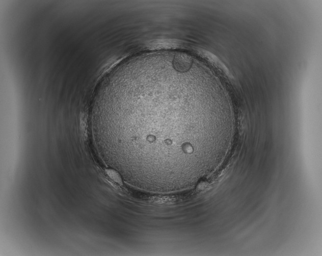 X0000116461217200912161225