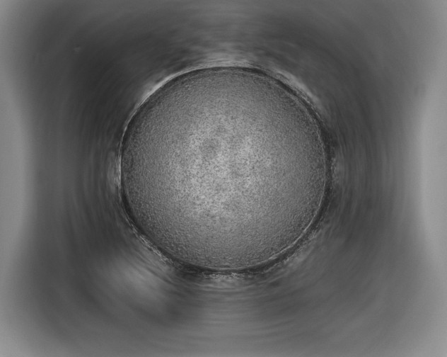 X0000116461220200912161225