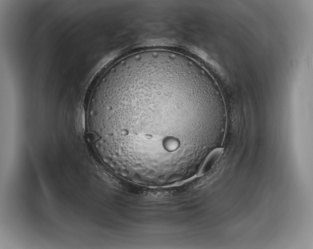 X0000116461221200912161225