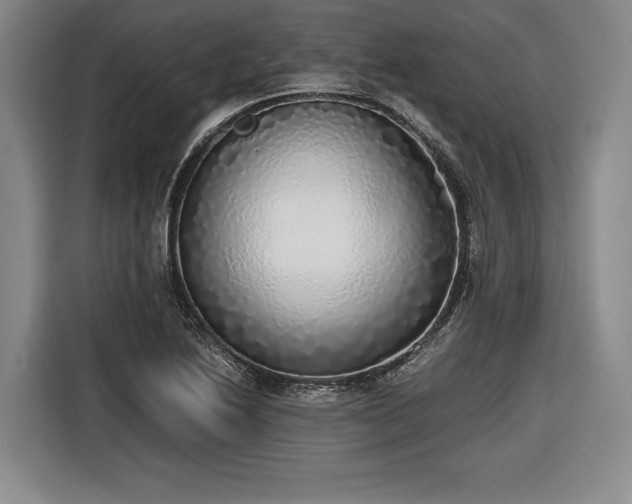 X0000116461222200912161225
