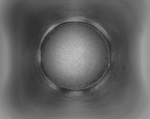 X0000116461224200912161225
