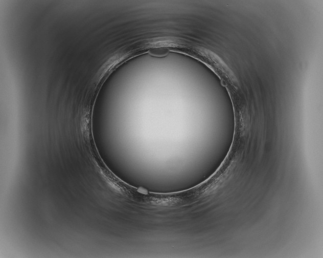 X0000116461225200912161225