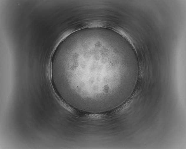 X0000116461227200912161225