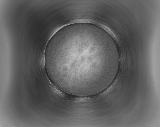 X0000116461228200912161225