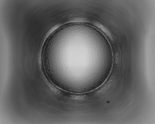 X0000116461229200912161225