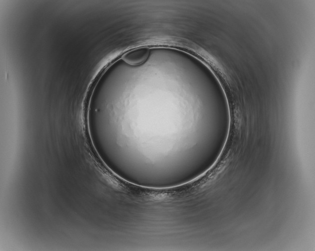 X0000116461230200912161225
