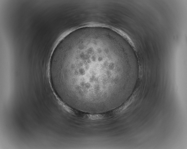 X0000116461231200912161225