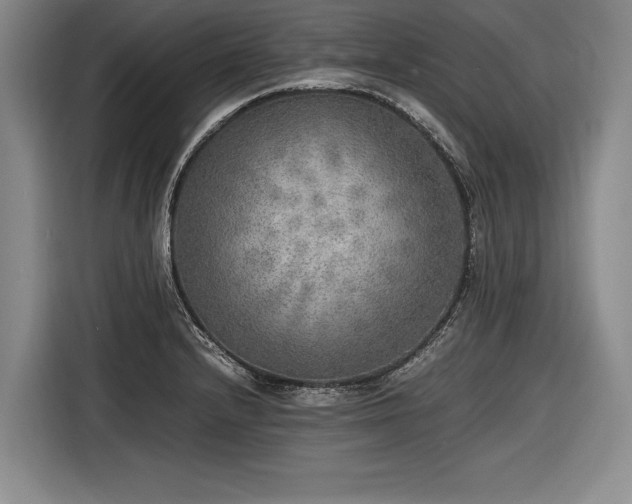 X0000116461232200912161225