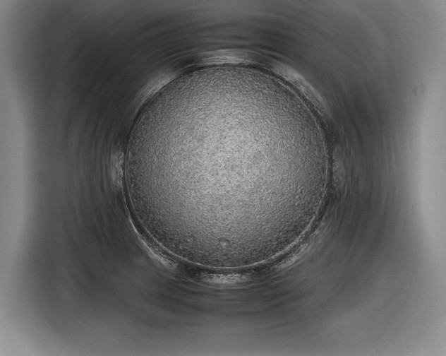 X0000116461233200912161226