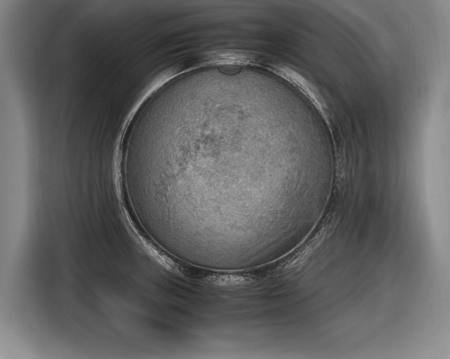 X0000116461235200912161226