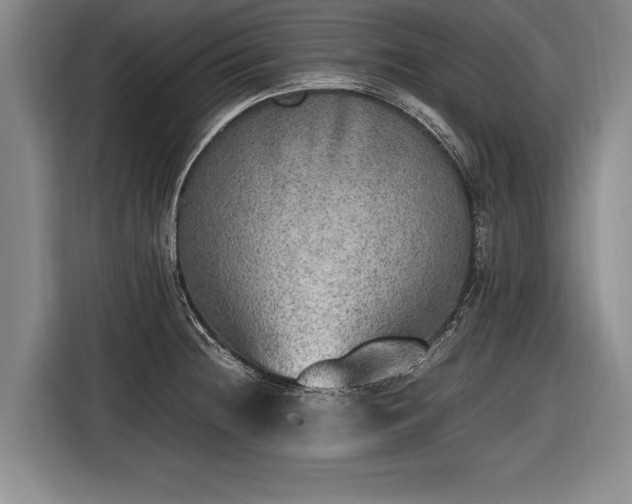 X0000116461236200912161226