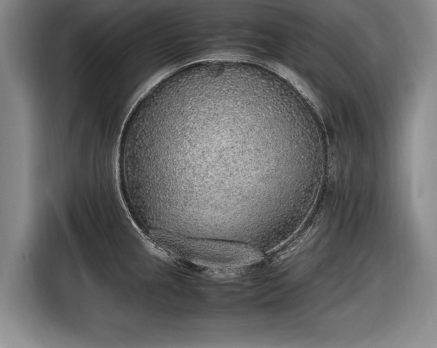 X0000116461237200912161226
