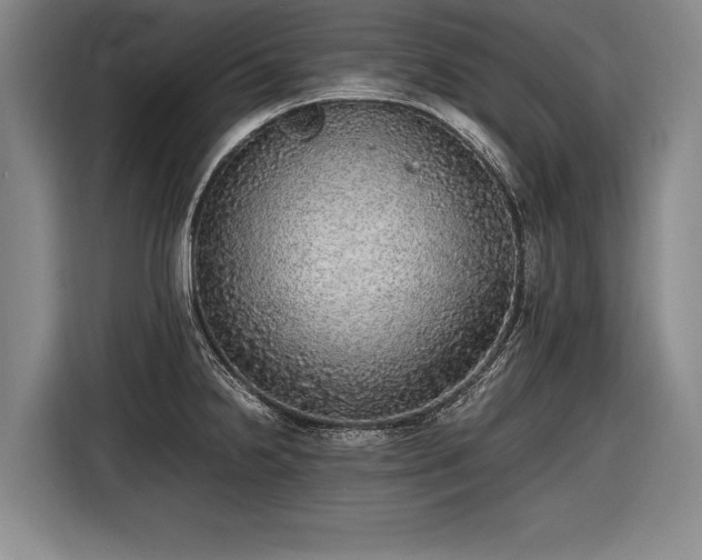 X0000116461238200912161226