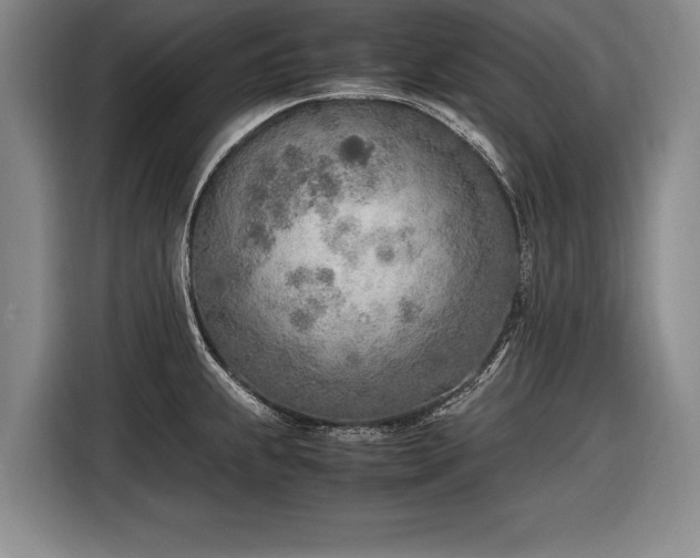 X0000116461239200912161226
