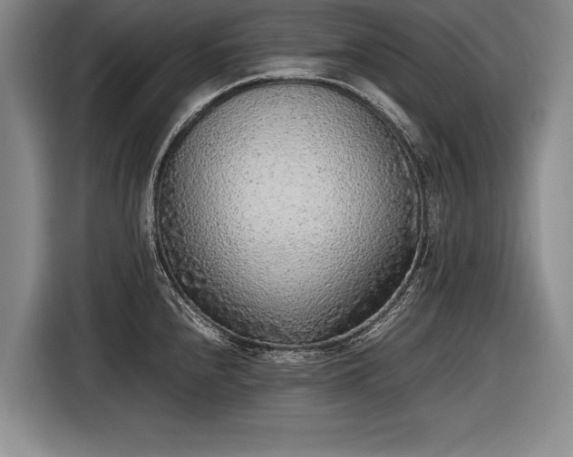 X0000116461240200912161226