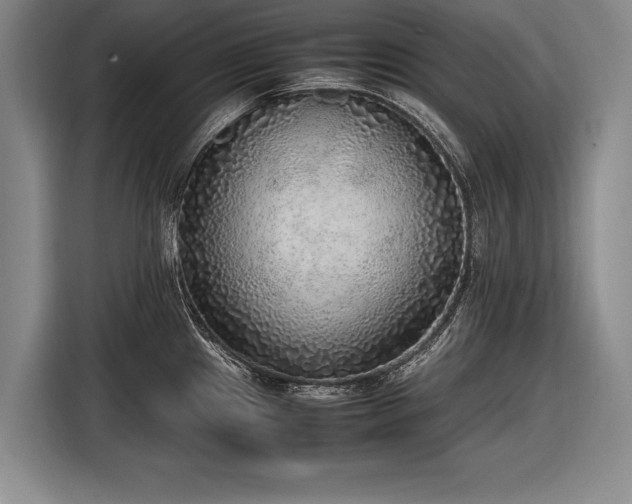 X0000116461241200912161226
