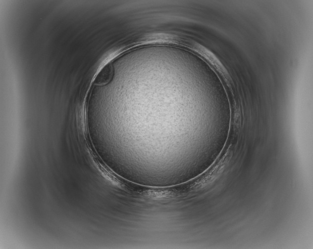 X0000116461242200912161226