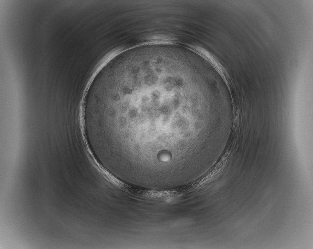 X0000116461243200912161226
