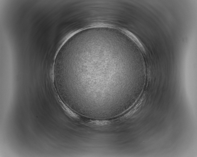 X0000116461244200912161226