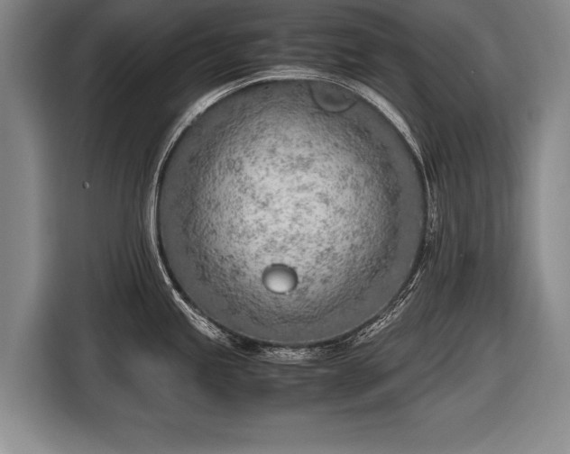 X0000116461245200912161226