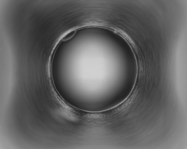 X0000116461246200912161226