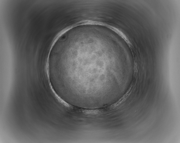 X0000116461247200912161226