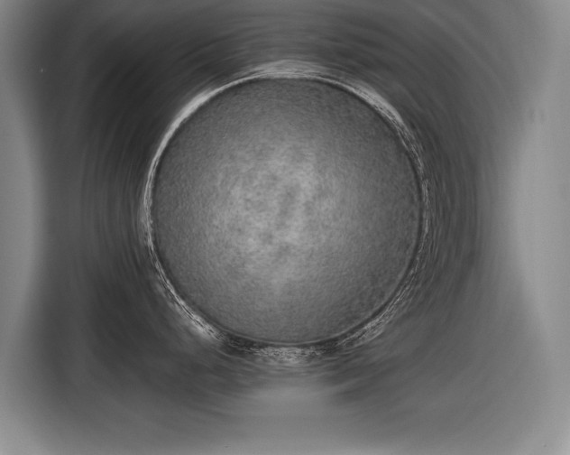 X0000116461248200912161226