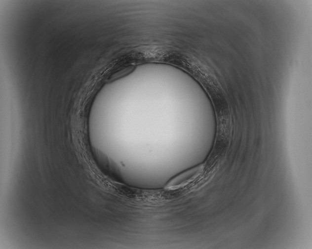 X0000116461249200912161225