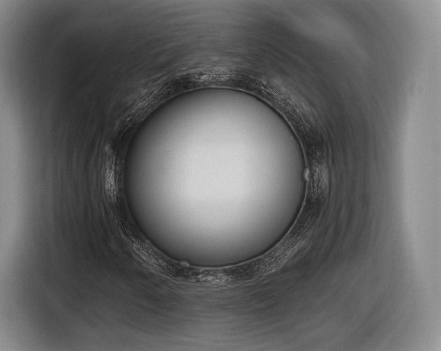 X0000116461250200912161225