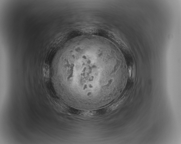 X0000116461251200912161225