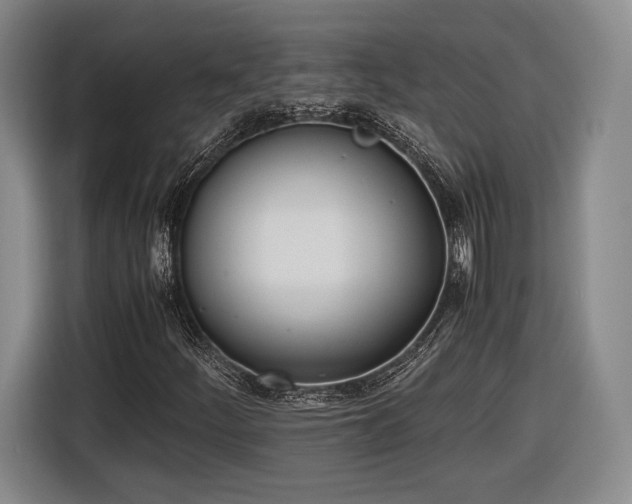 X0000116461252200912161225