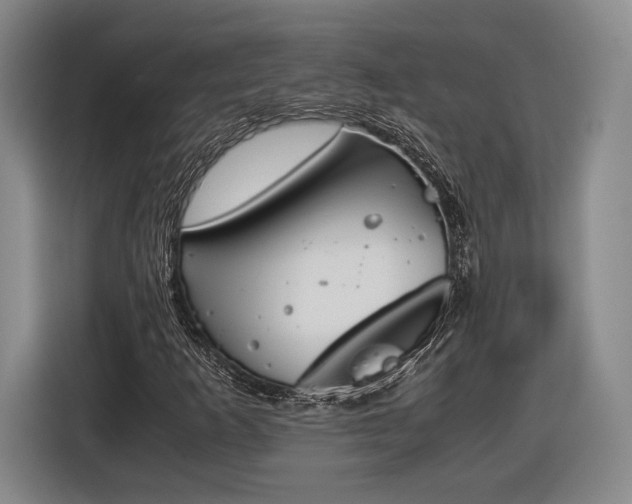 X0000116461253200912161225