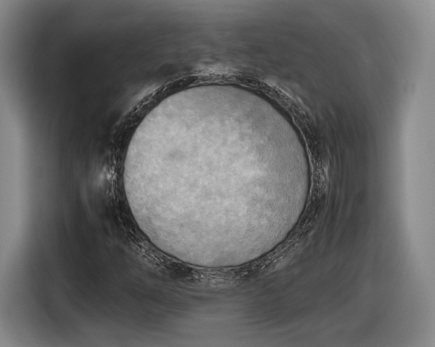 X0000116461254200912161225