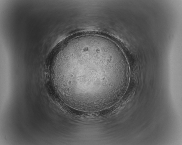 X0000116461255200912161225