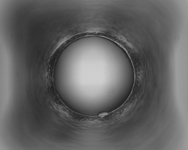 X0000116461256200912161225