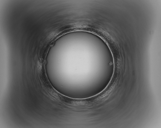 X0000116461257200912161225