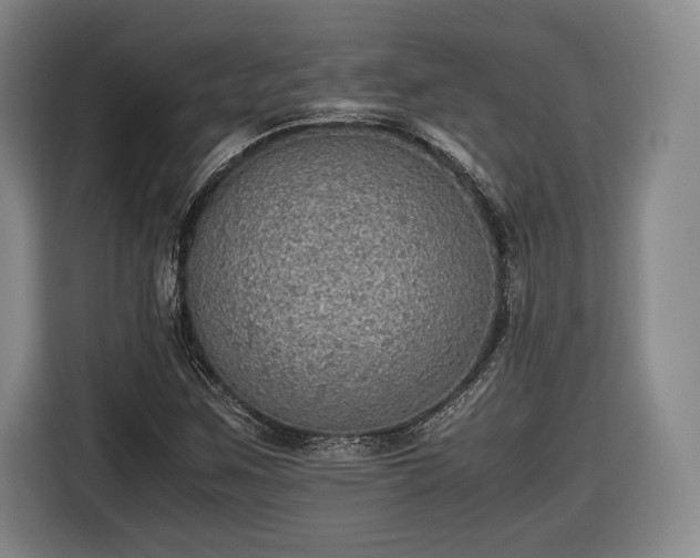 X0000116461259200912161225