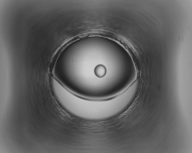 X0000116461260200912161225