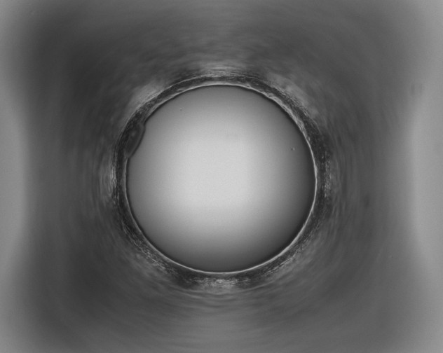 X0000116461261200912161225