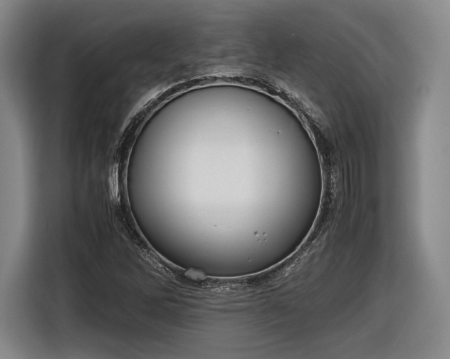 X0000116461262200912161225