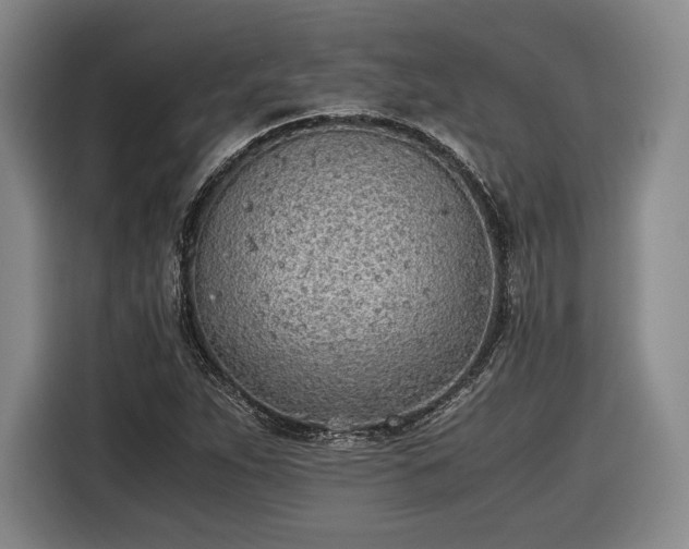 X0000116461263200912161225