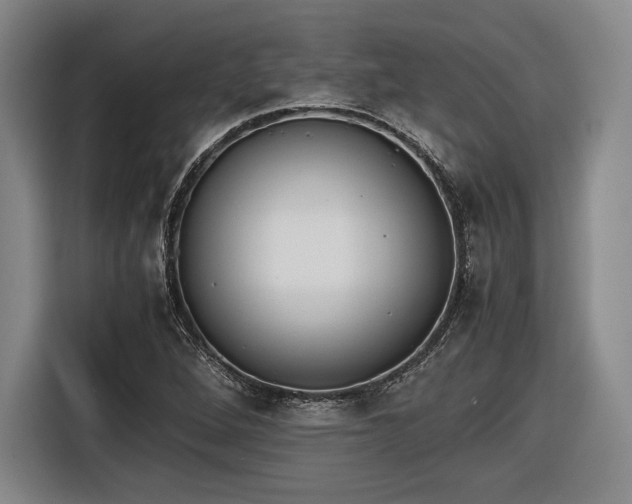 X0000116461264200912161225