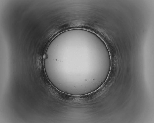 X0000116461265200912161225