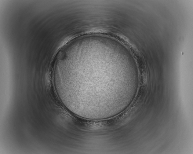 X0000116461266200912161225