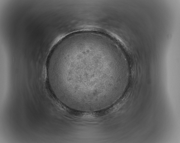 X0000116461267200912161225