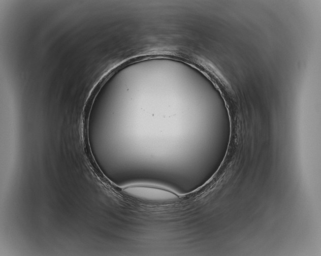 X0000116461268200912161225