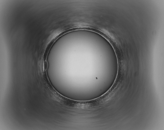 X0000116461269200912161225